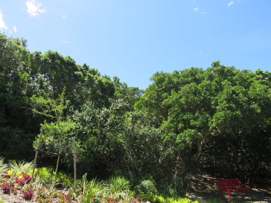 0 Bedroom Property for Sale in East Bank Eastern Cape